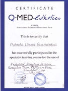 Сертификат Рудневой И.В. от  Q-MED esthetics